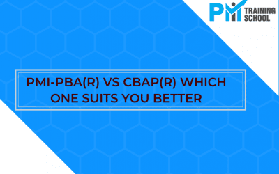 PMI-PBA® vs CBAP®: Which One Suits You Better?