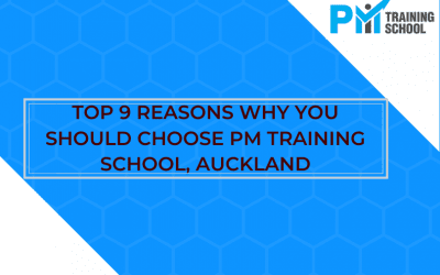 Top 9 Reasons To Choose Pm Training School