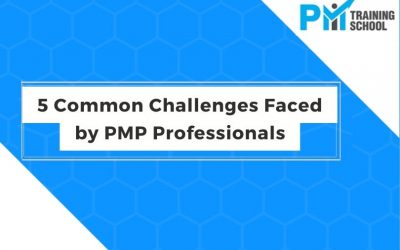 5 Common Challenges Faced by PMP Professionals