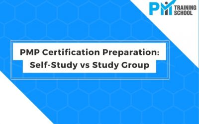 PMP Certification Preparation: Self-Study vs Study Group