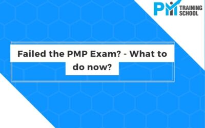 Failed the PMP Exam? – What to do now?