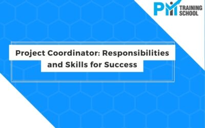 Project Coordinator: Responsibilities and Skills for Success