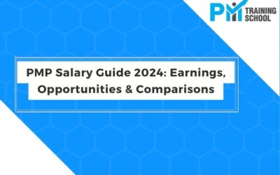 PMP Salary Guide 2024: Earnings, Opportunities & Comparisons